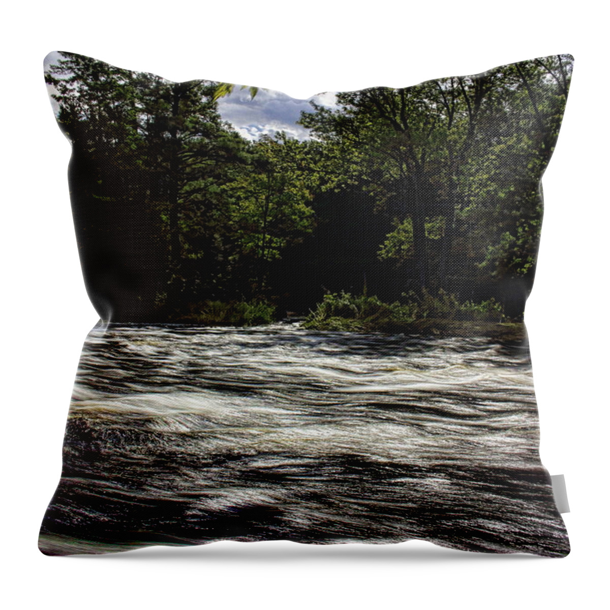 Eau Claire Dells Throw Pillow featuring the photograph Silver Reflections by Dale Kauzlaric