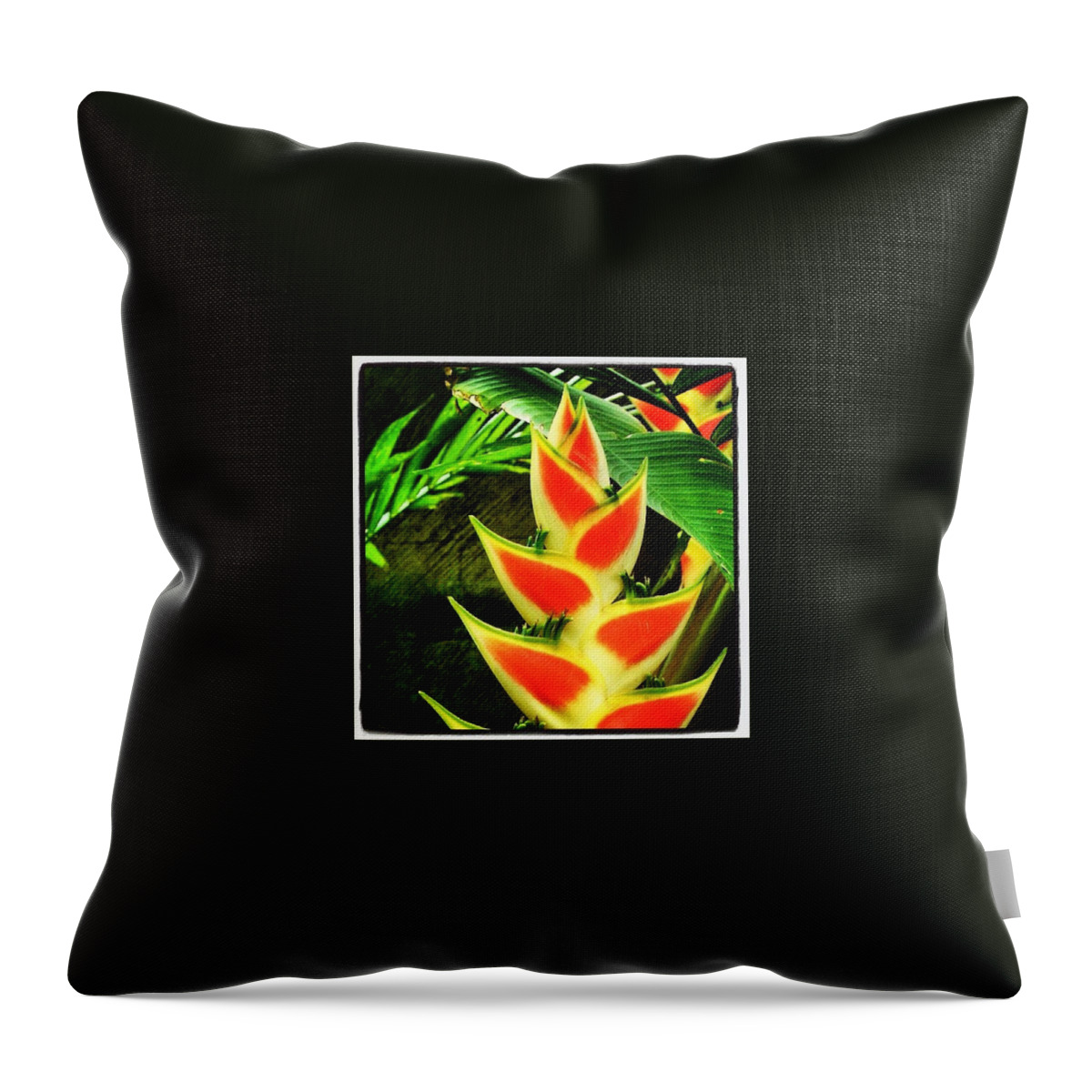 Hkellex13 Throw Pillow featuring the photograph Flower #4 by Lorelle Phoenix