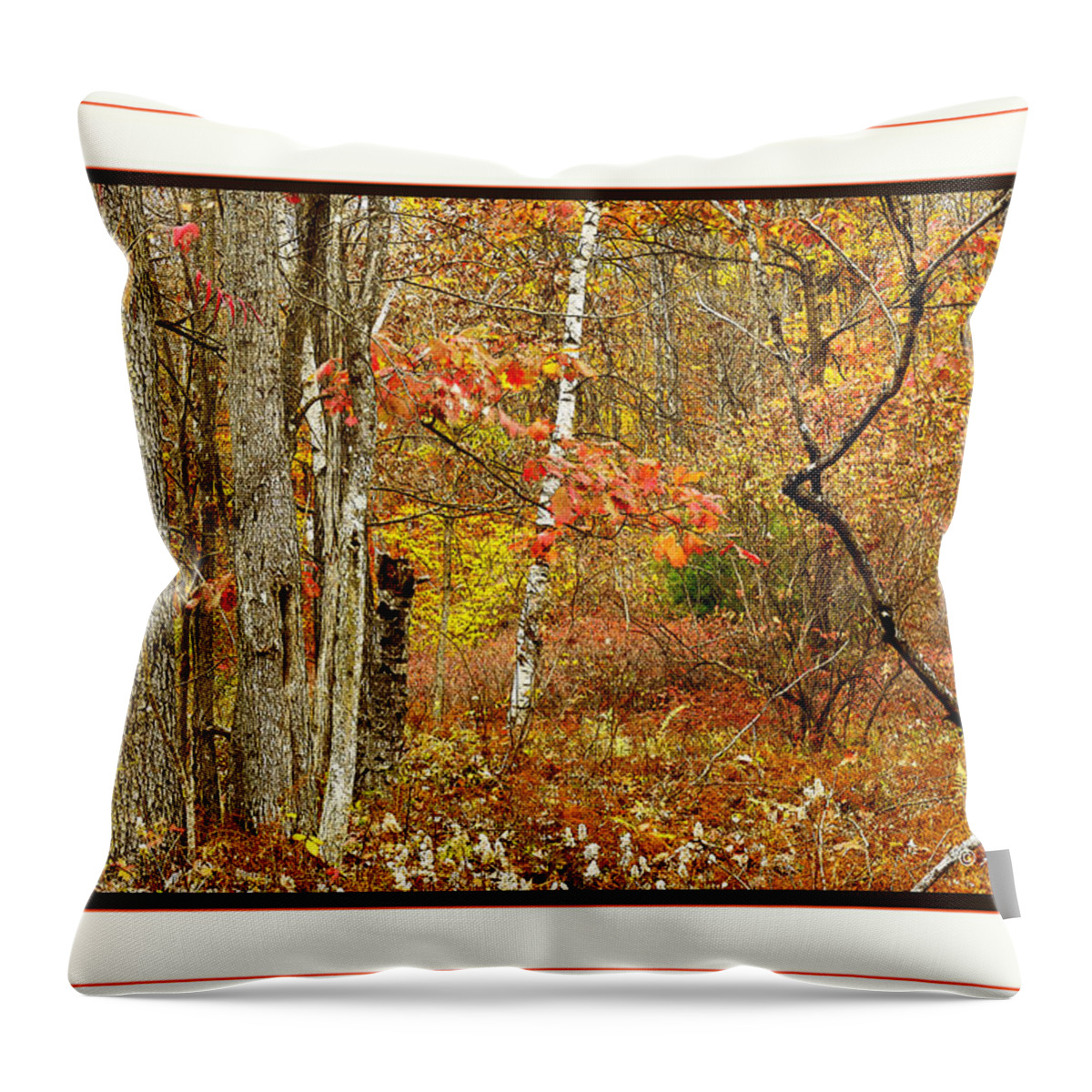 Foliage Throw Pillow featuring the photograph Forest Interior Autumn Pocono Mountains Pennsylvania #4 by A Macarthur Gurmankin