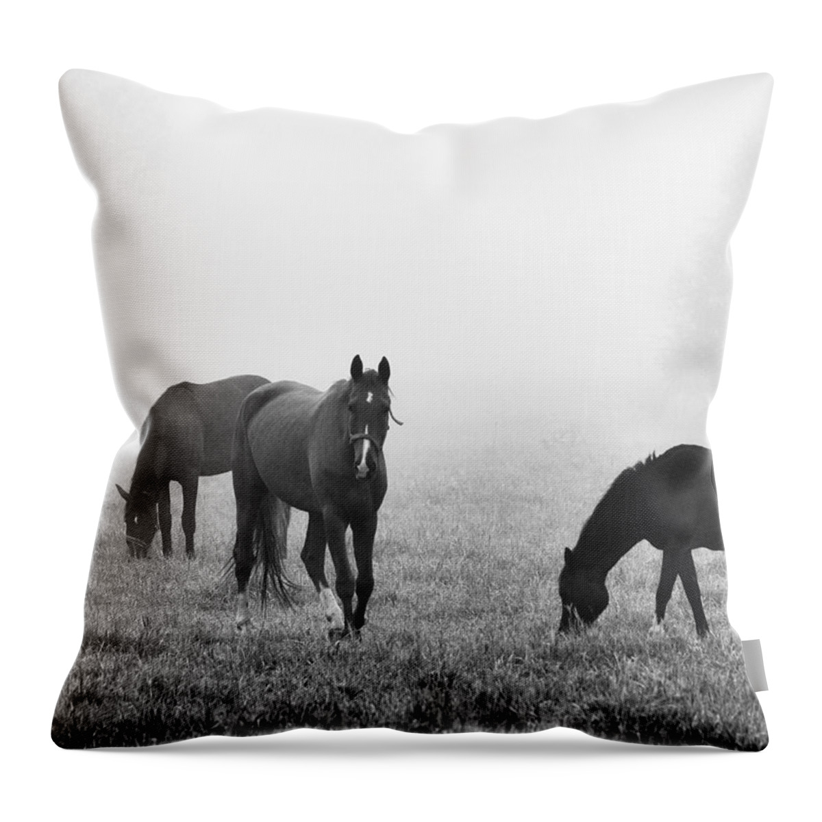 Finland Throw Pillow featuring the photograph Horses of the Fall trio bw by Jouko Lehto