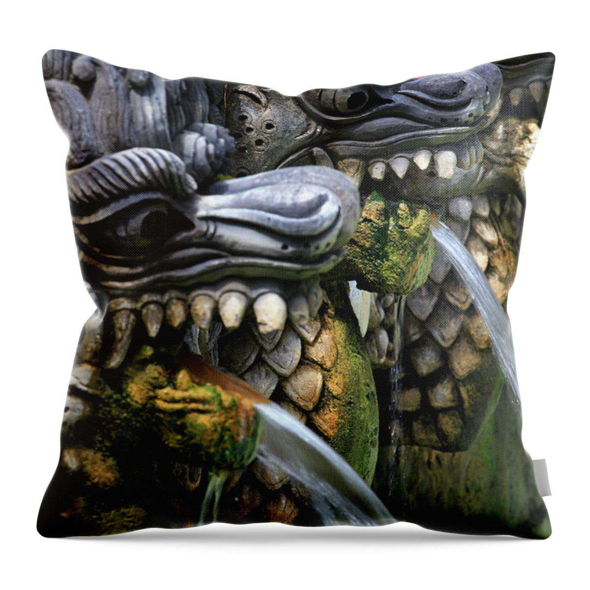 Art Throw Pillow featuring the photograph Indonesia, Bali, Rice Fields And #4 by Michele Falzone