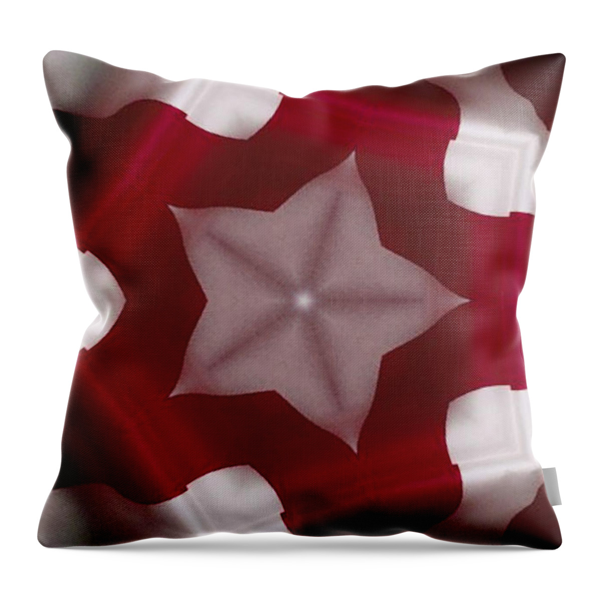 Geometric Throw Pillow featuring the photograph Kaleidoscopes #4 by Theodore Jones