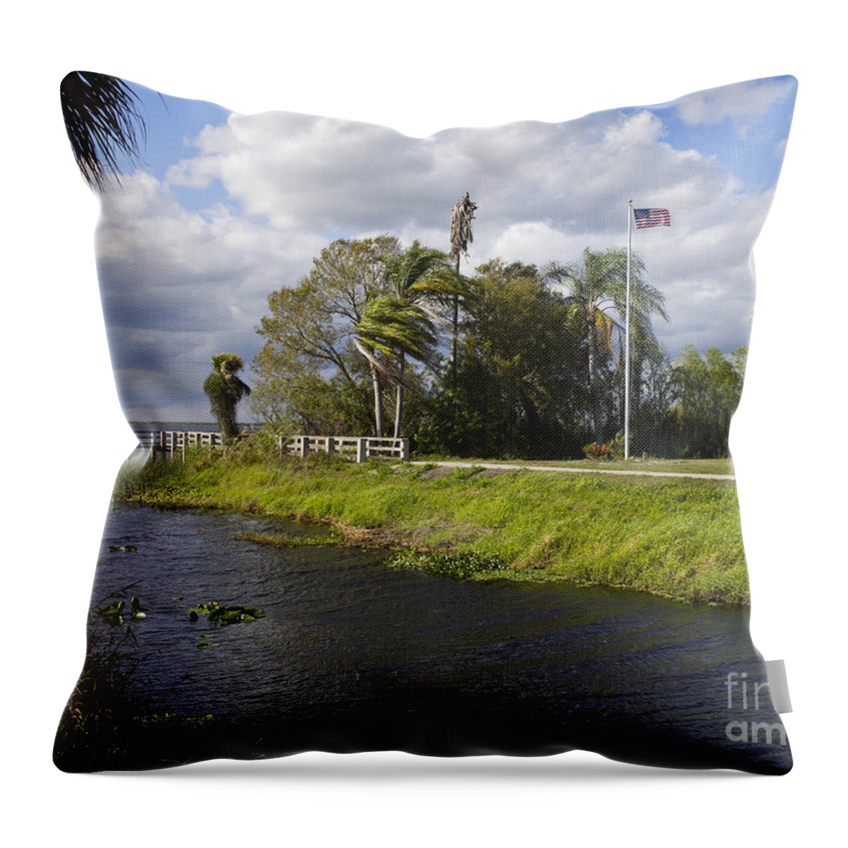 Florida Throw Pillow featuring the photograph Lake Washington on the St Johns River in Florida #4 by Allan Hughes