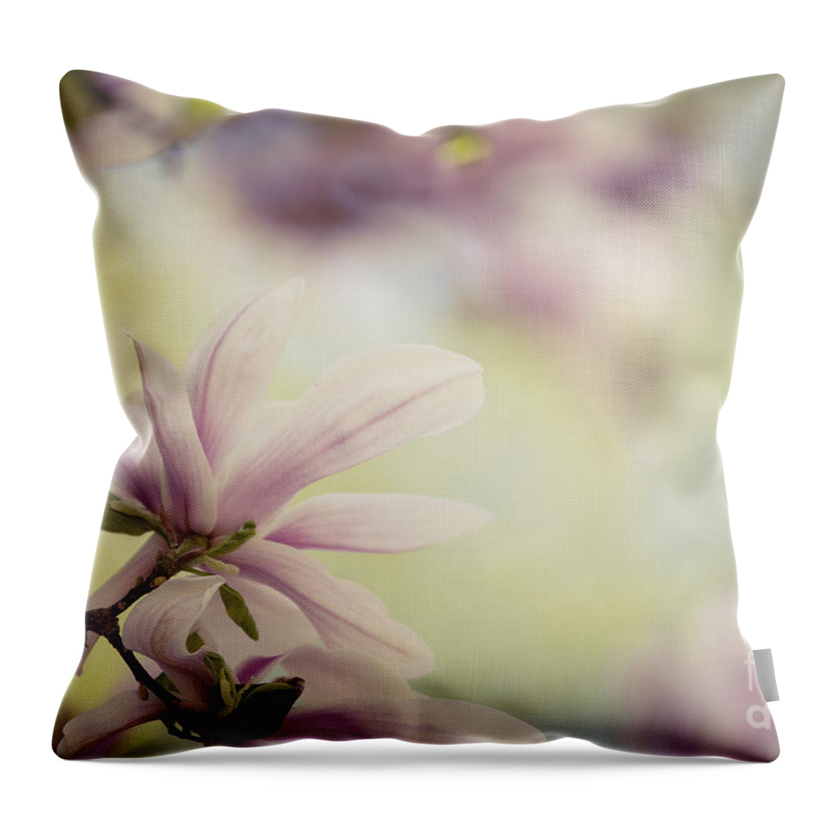 Magnolia Throw Pillow featuring the photograph Magnolia Flowers #4 by Nailia Schwarz
