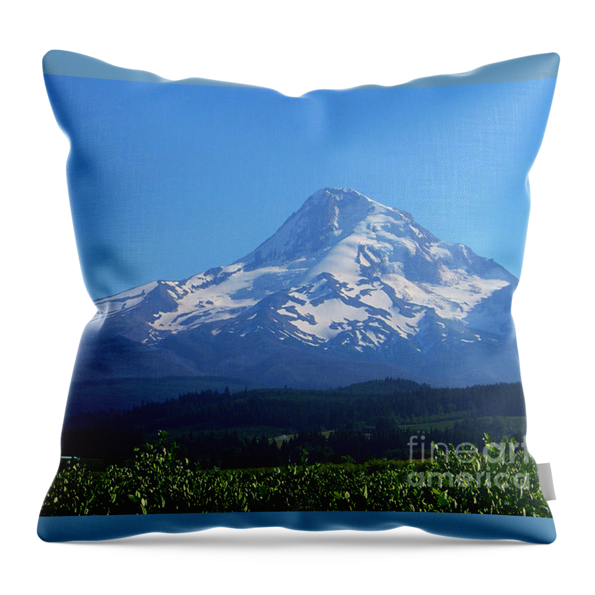 Mt Hood Throw Pillow featuring the photograph Mt Hood #1 by Charles Robinson