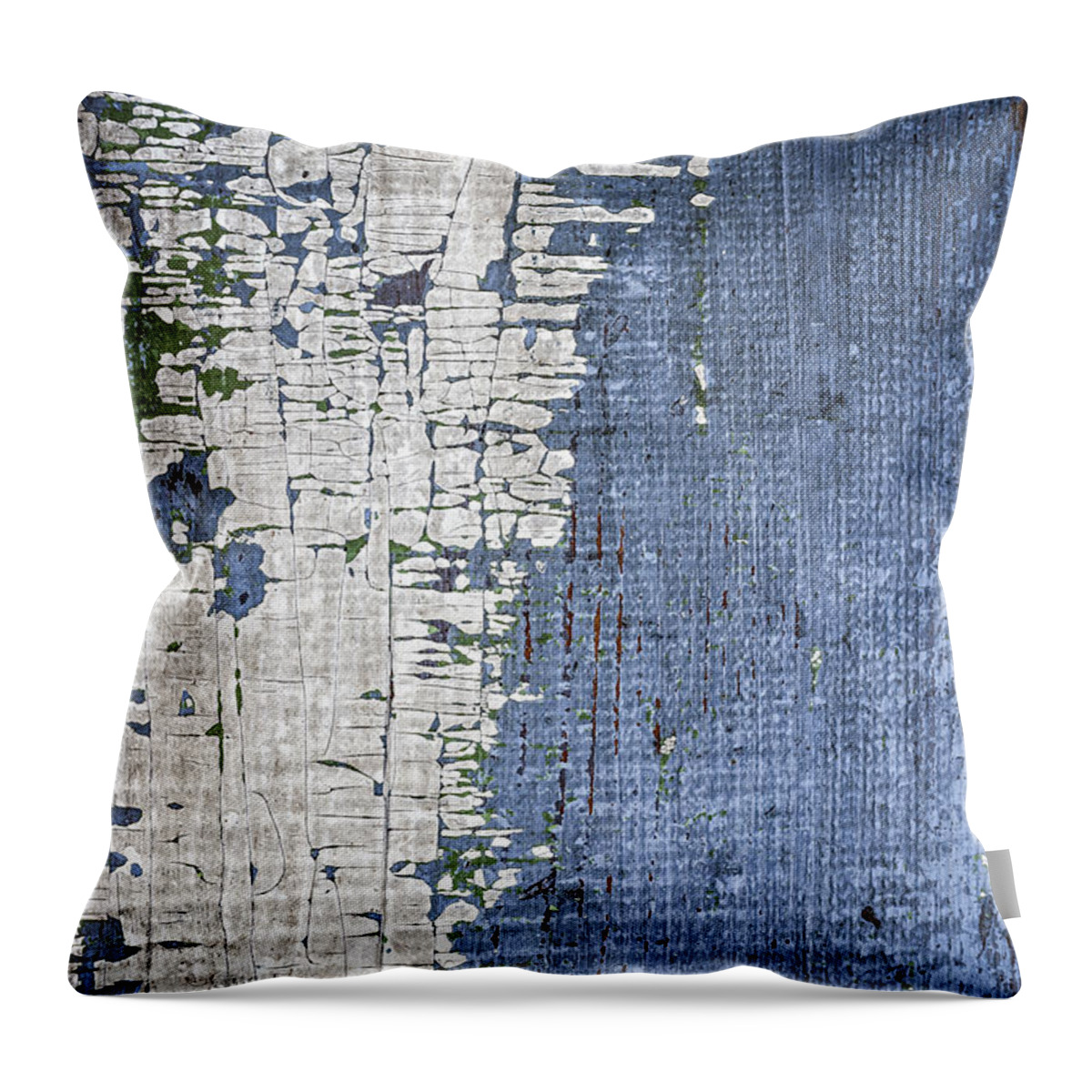 Wood Throw Pillow featuring the photograph Old painted wood abstract No.4 by Elena Elisseeva