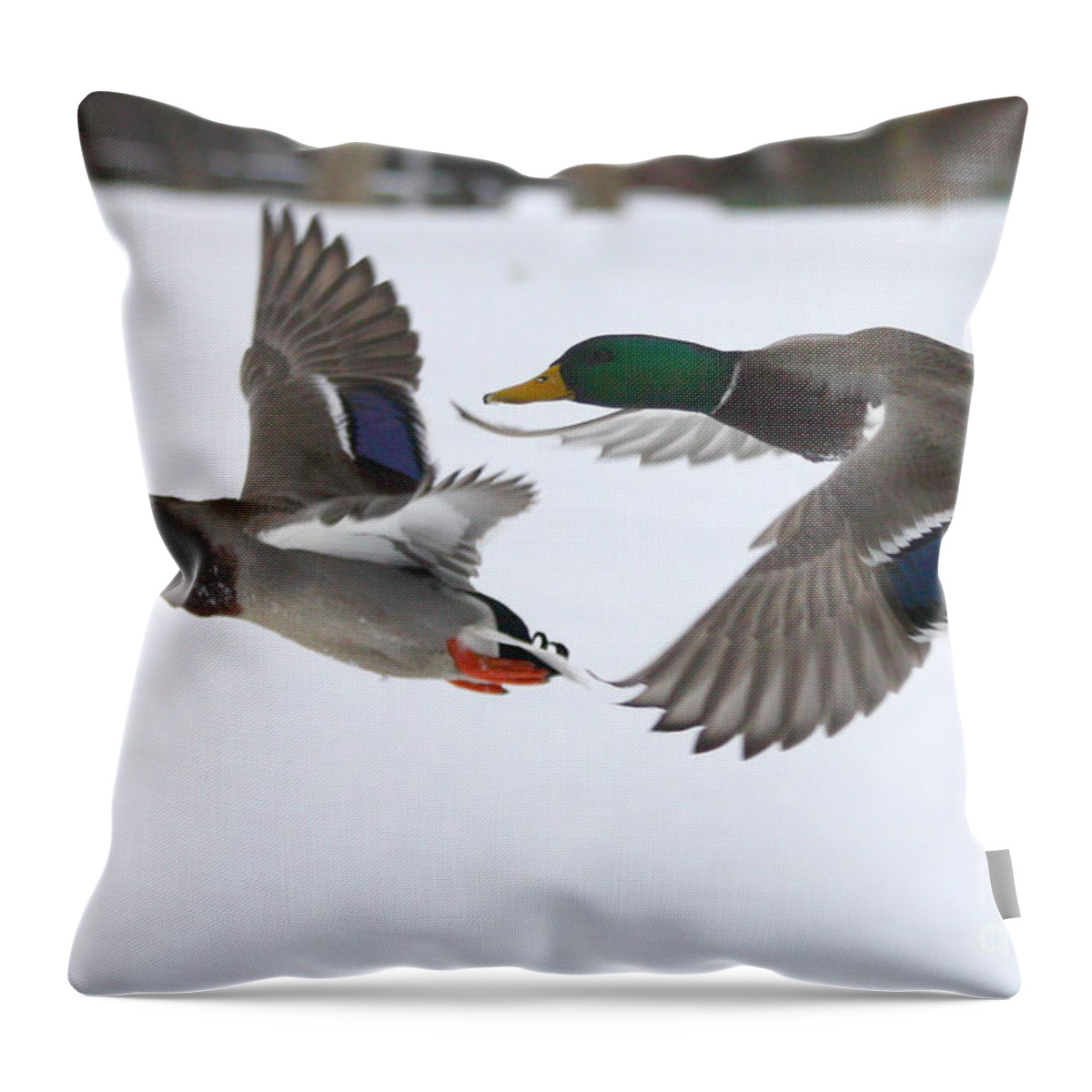 The Great Race Throw Pillow featuring the photograph The Great Race by John Telfer