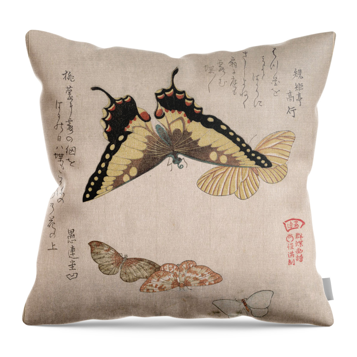 Kubo Shunman Throw Pillow featuring the drawing Various Moths and Butterflies #4 by Kubo Shunman