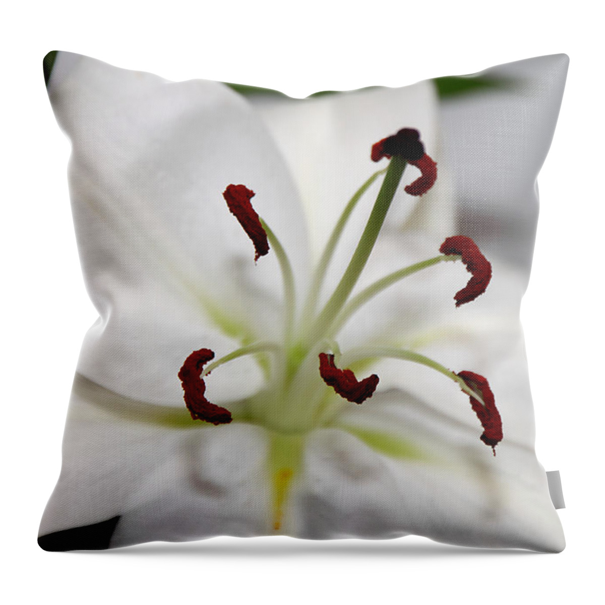 Lily Throw Pillow featuring the photograph White Lily in Macro #4 by Carole-Anne Fooks
