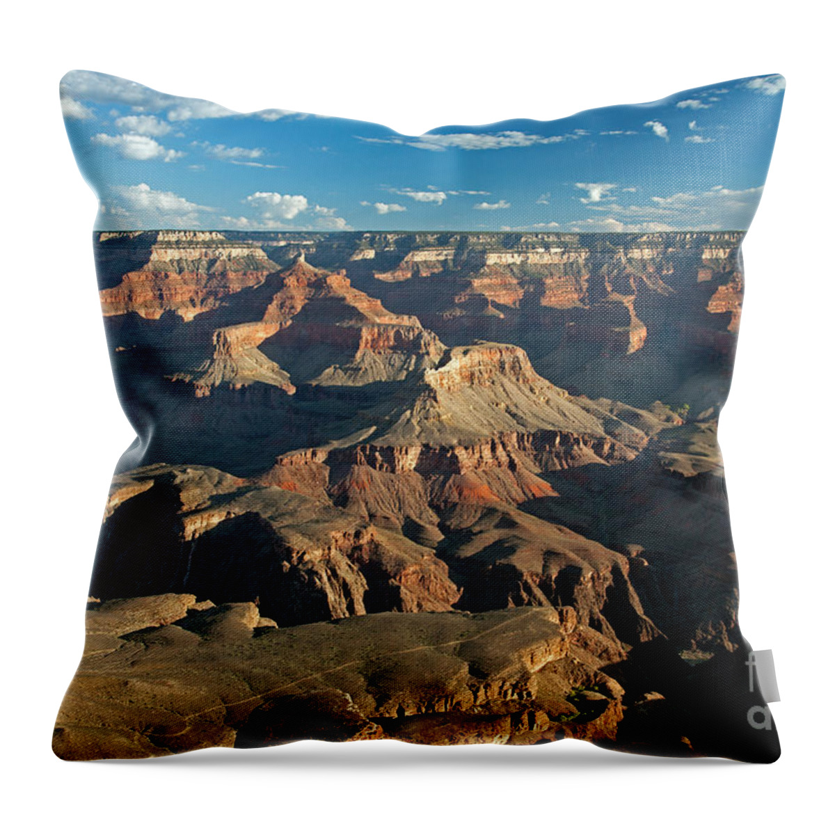 Arizona Throw Pillow featuring the photograph Yavapai Point Grand Canyon National Park #4 by Fred Stearns