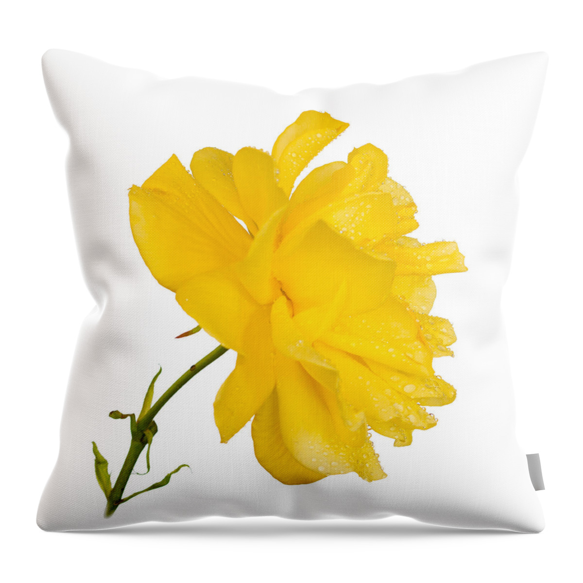 Brown Throw Pillow featuring the photograph Yellow Rose #4 by Mark Llewellyn