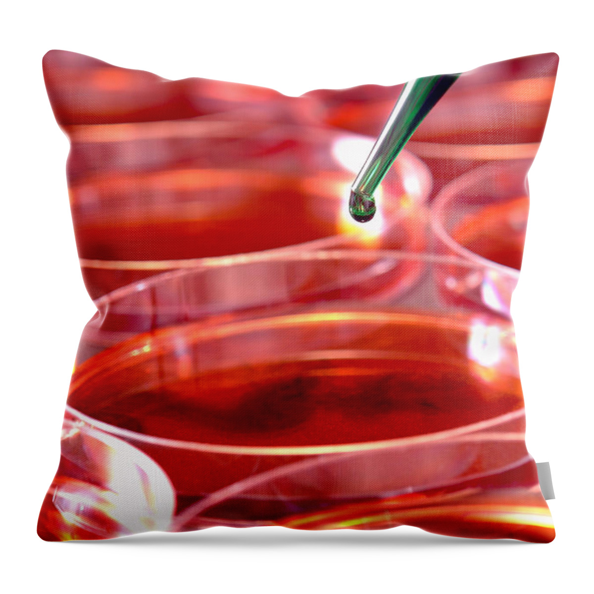 Lab Throw Pillow featuring the photograph Laboratory Experiment in Science Research Lab #40 by Science Research Lab
