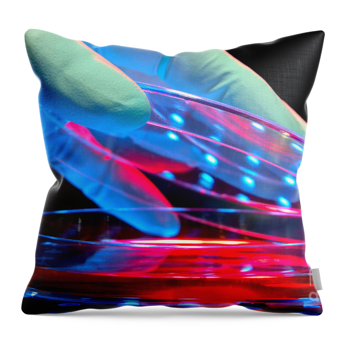 Lab Throw Pillow featuring the photograph Laboratory Equipment in Science Research Lab #42 by Science Research Lab