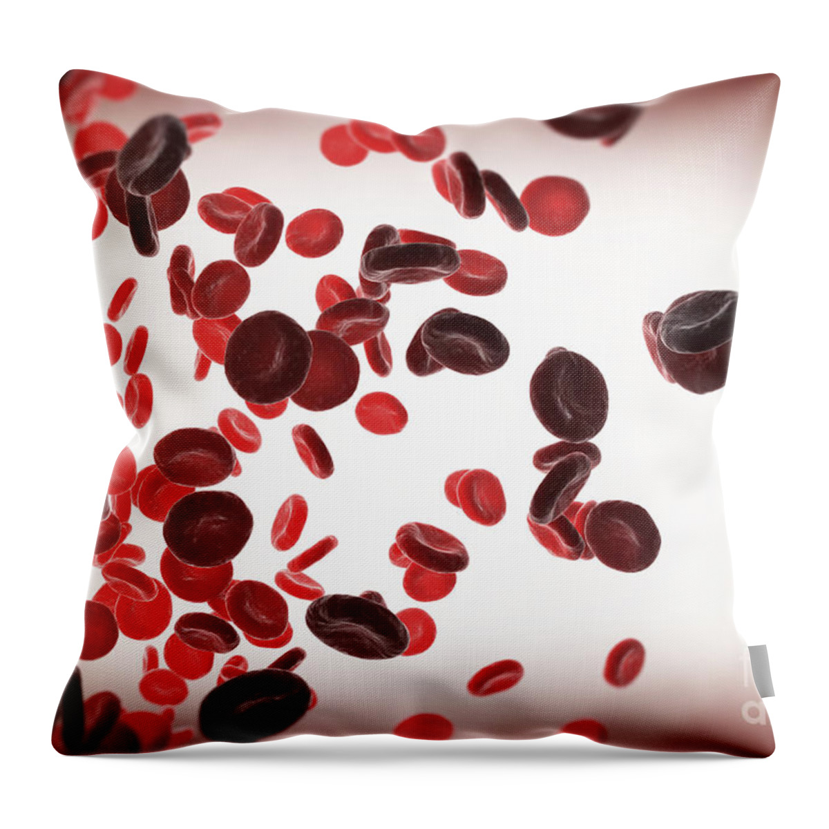 Digitally Generated Image Throw Pillow featuring the photograph Red Blood Cells #43 by Science Picture Co