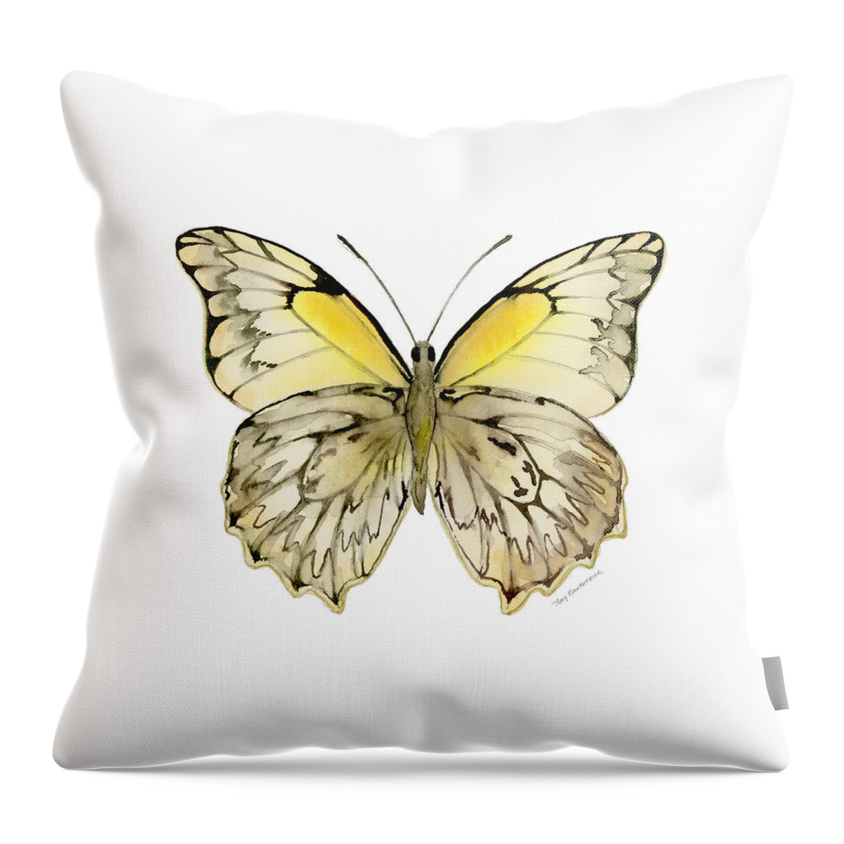 Hesperocharia Throw Pillow featuring the painting 44 Hesperocharia Graphite Butterfly by Amy Kirkpatrick