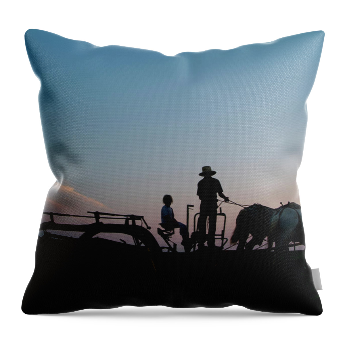 Agriculture Throw Pillow featuring the photograph Untitled #48 by Bill Bachmann