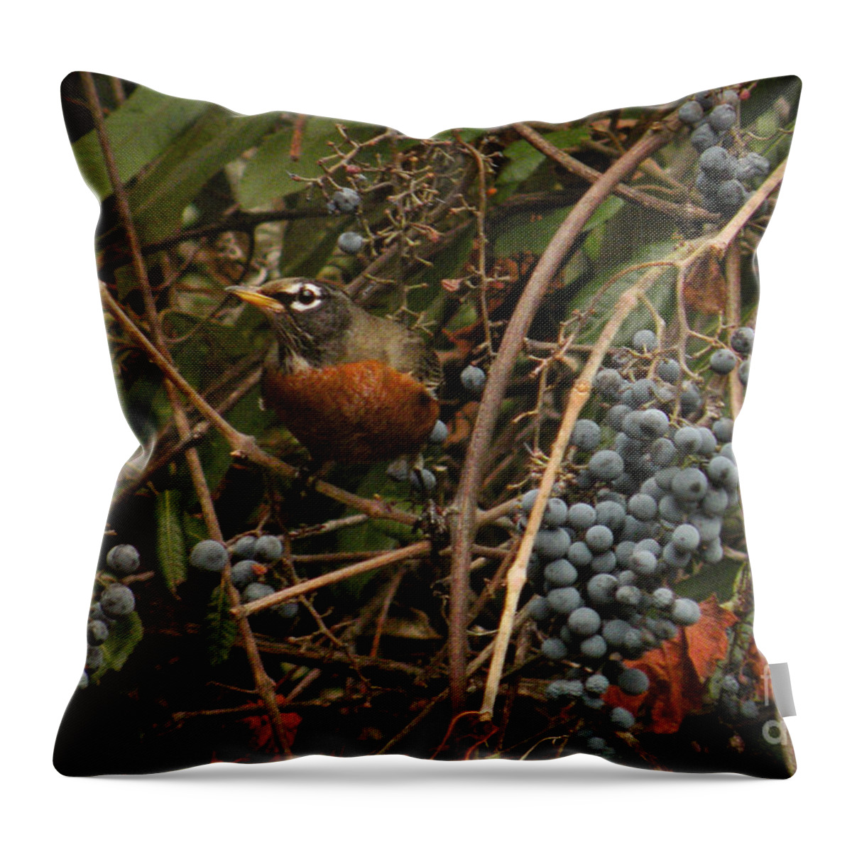 Animal Throw Pillow featuring the photograph American Robin #5 by Ron Sanford