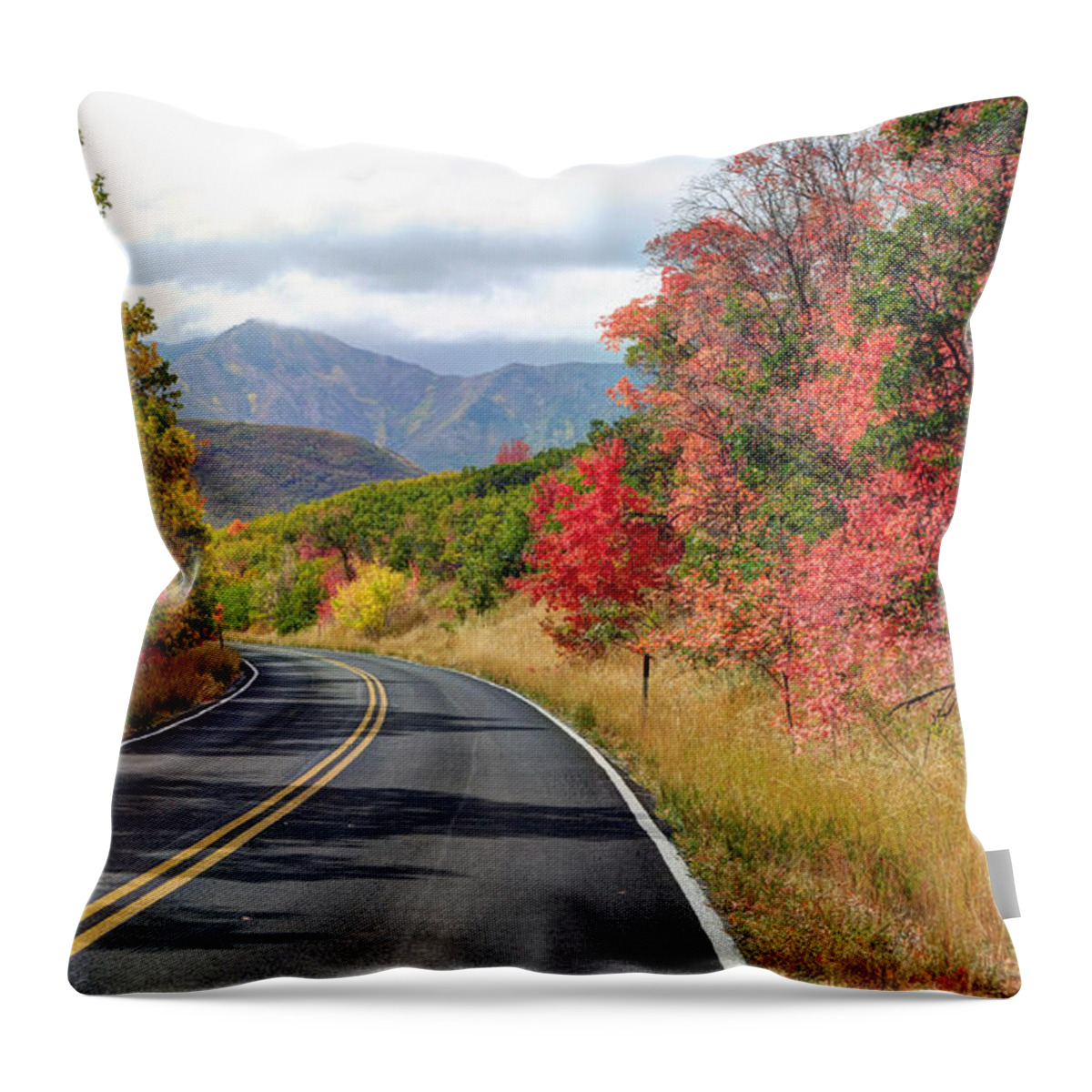 Utah Throw Pillow featuring the photograph Autumn Drive through East Canyon - Utah #5 by Gary Whitton