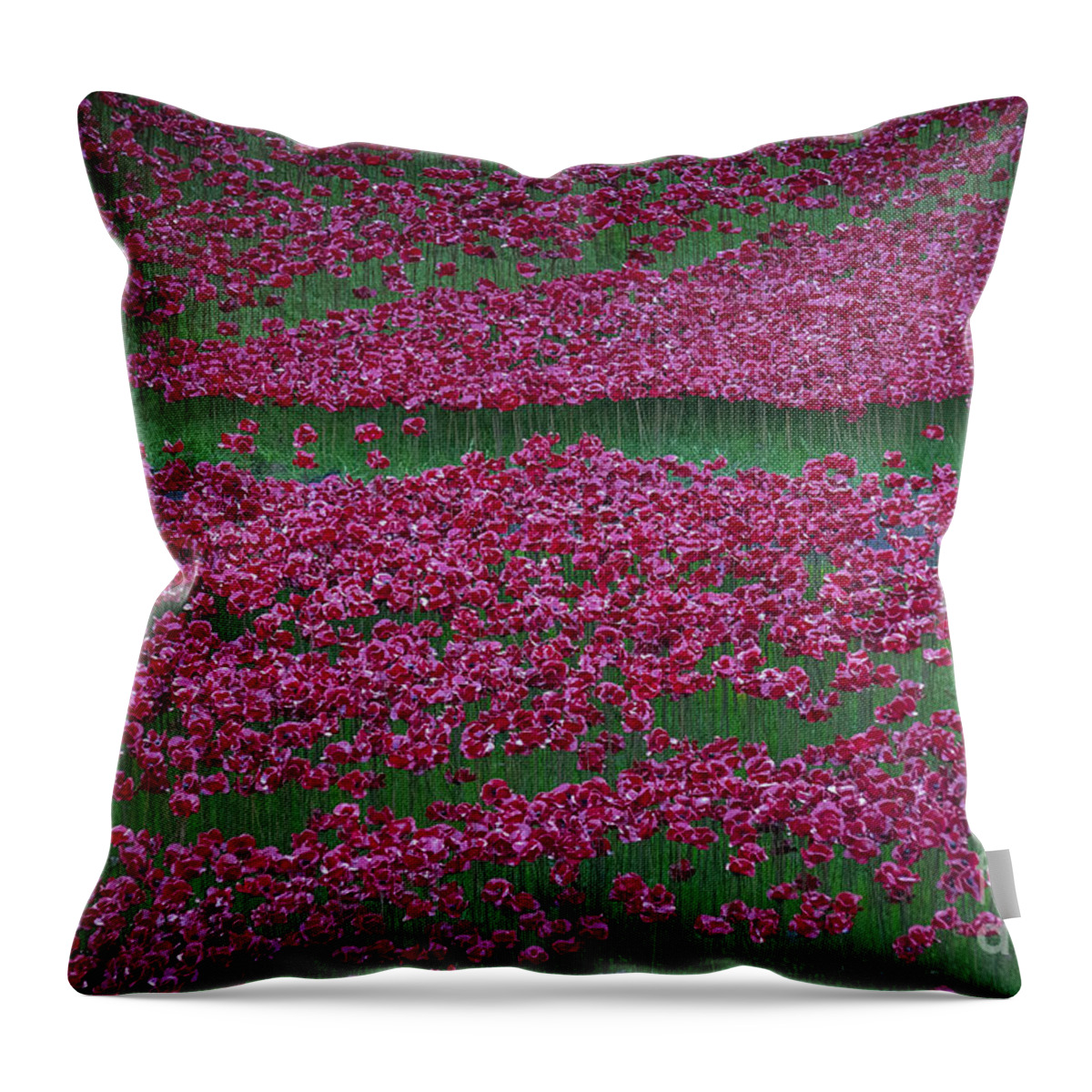 England Throw Pillow featuring the photograph Blood Swept Lands and Seas of Red #5 by Milena Boeva