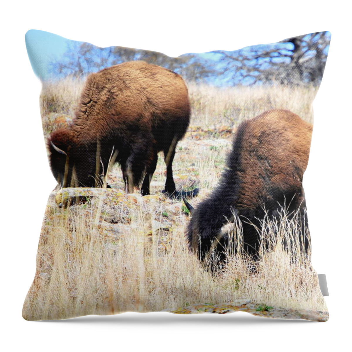 Landscape Throw Pillow featuring the photograph Buffalo #3 by Mickey Harkins