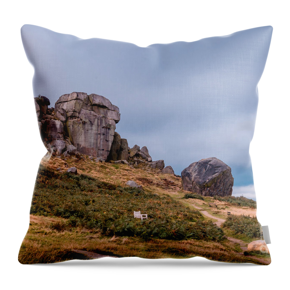Airedale Throw Pillow featuring the photograph Cow and Calf Rocks #5 by Mariusz Talarek