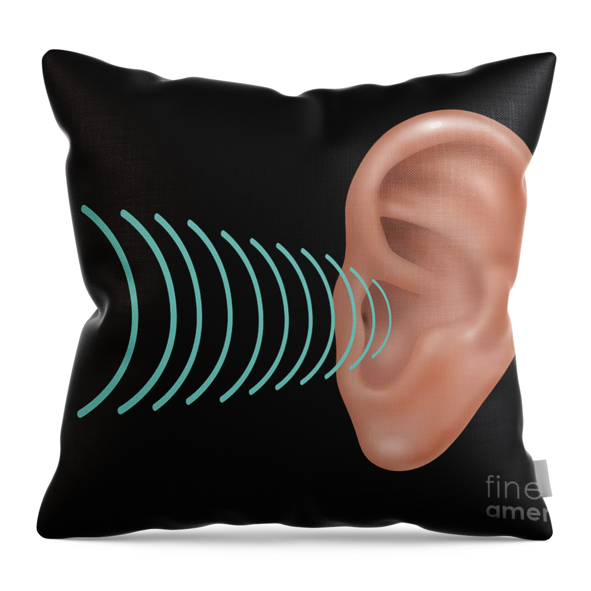 Illustration Throw Pillow featuring the photograph Sound Entering Human Outer Ear #5 by Gwen Shockey
