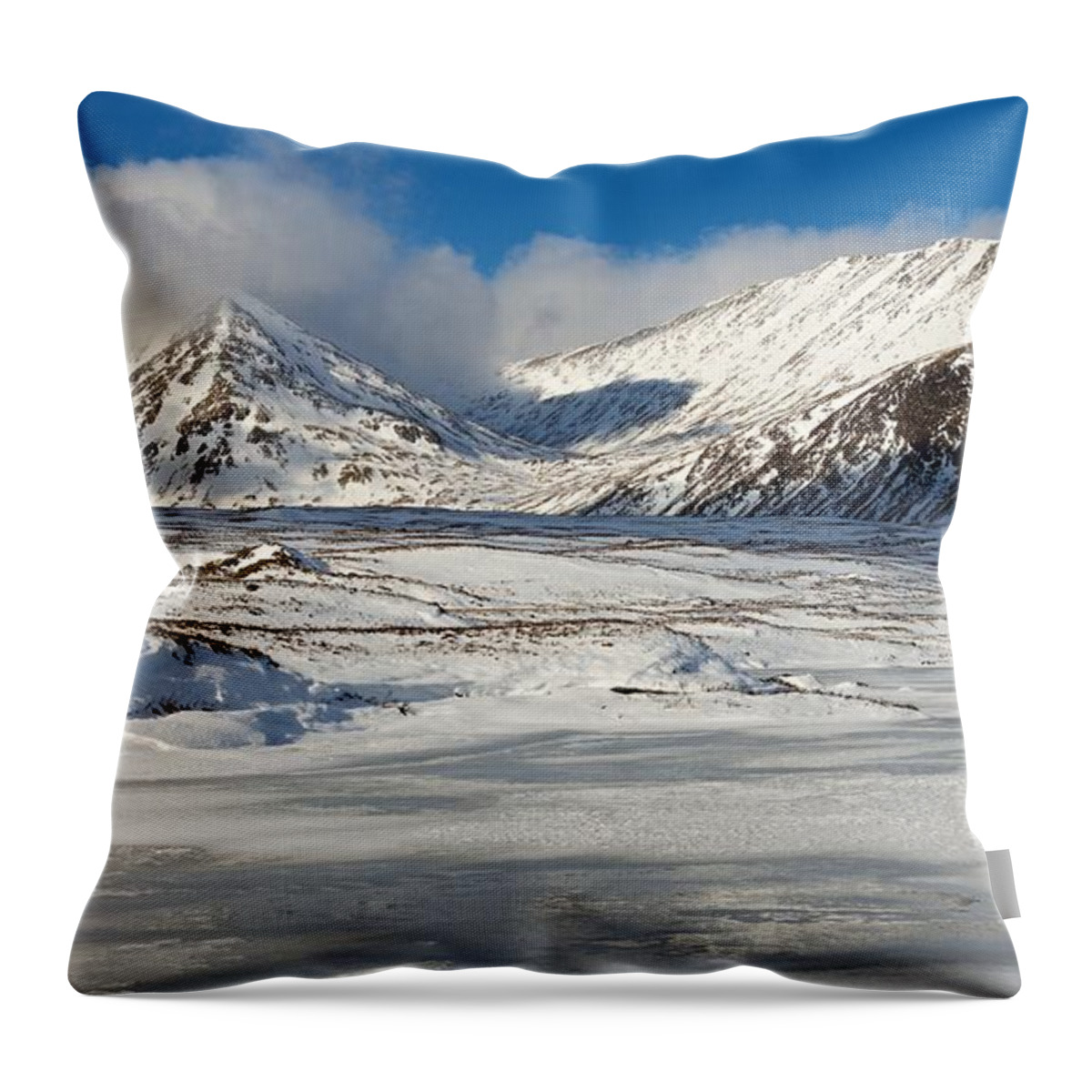 Winter Throw Pillow featuring the photograph The Black Mount #5 by Stephen Taylor