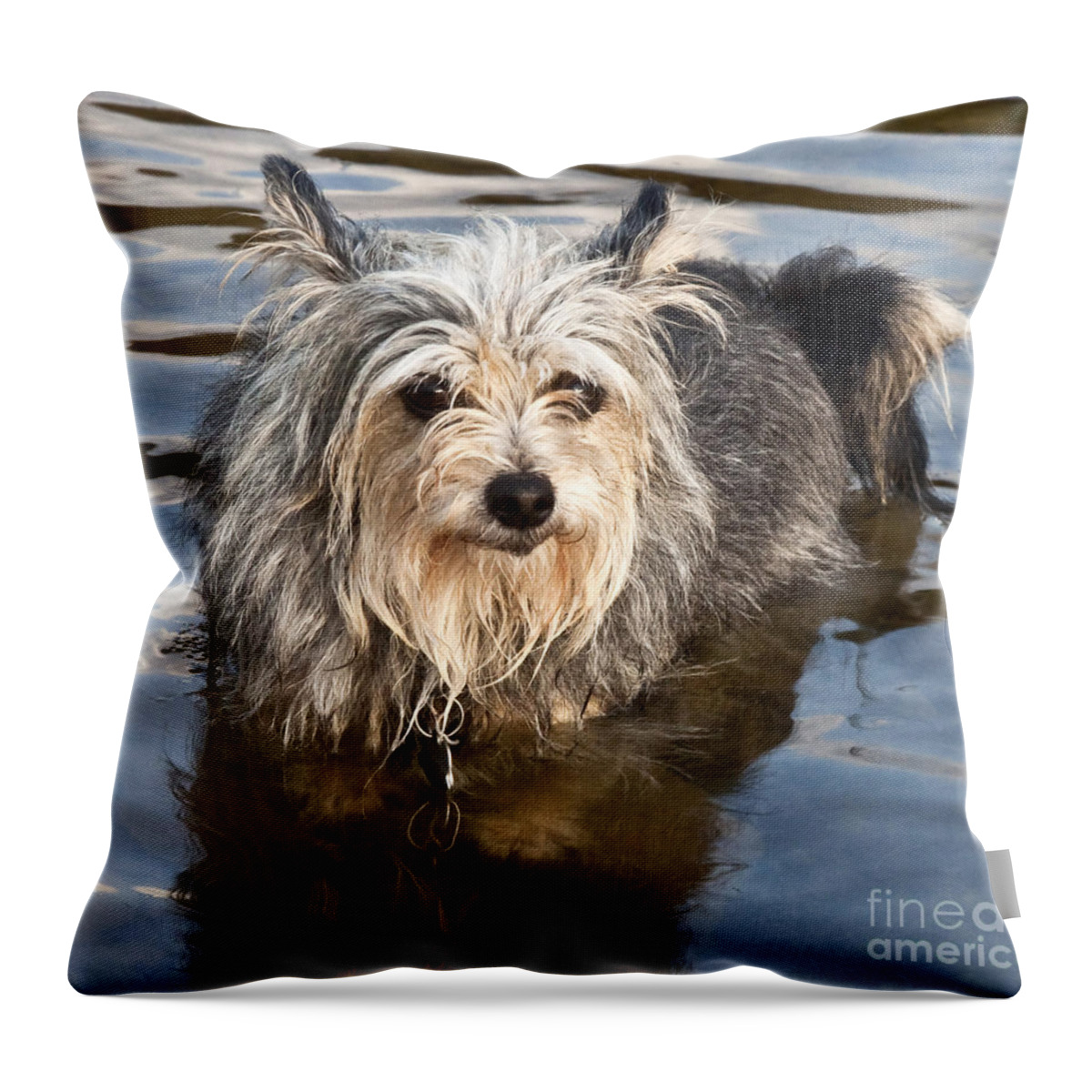 Gremlin Throw Pillow featuring the photograph Gremlin by Jeannette Hunt