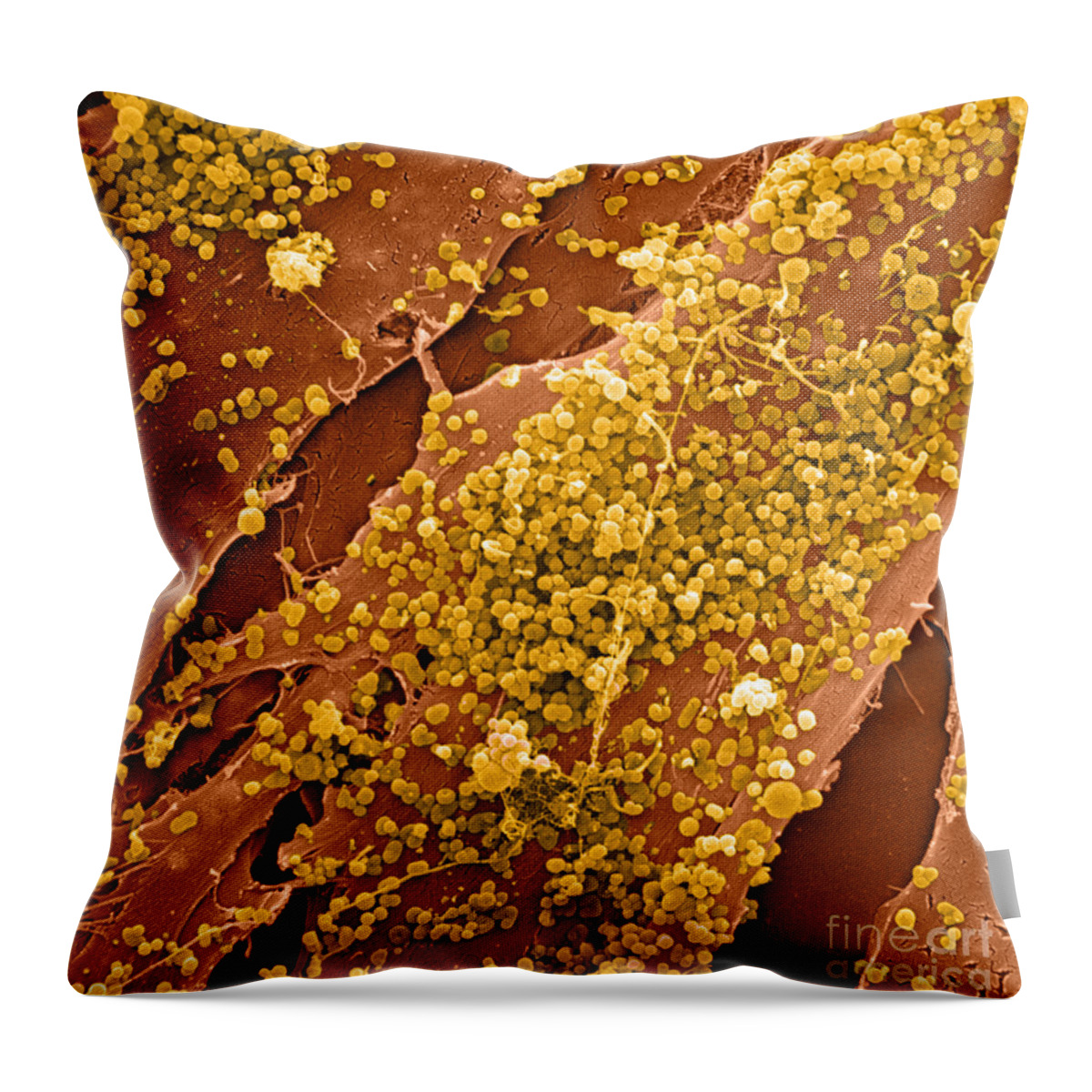 Cell Throw Pillow featuring the photograph Human Skin Cell Sem #6 by David M. Phillips