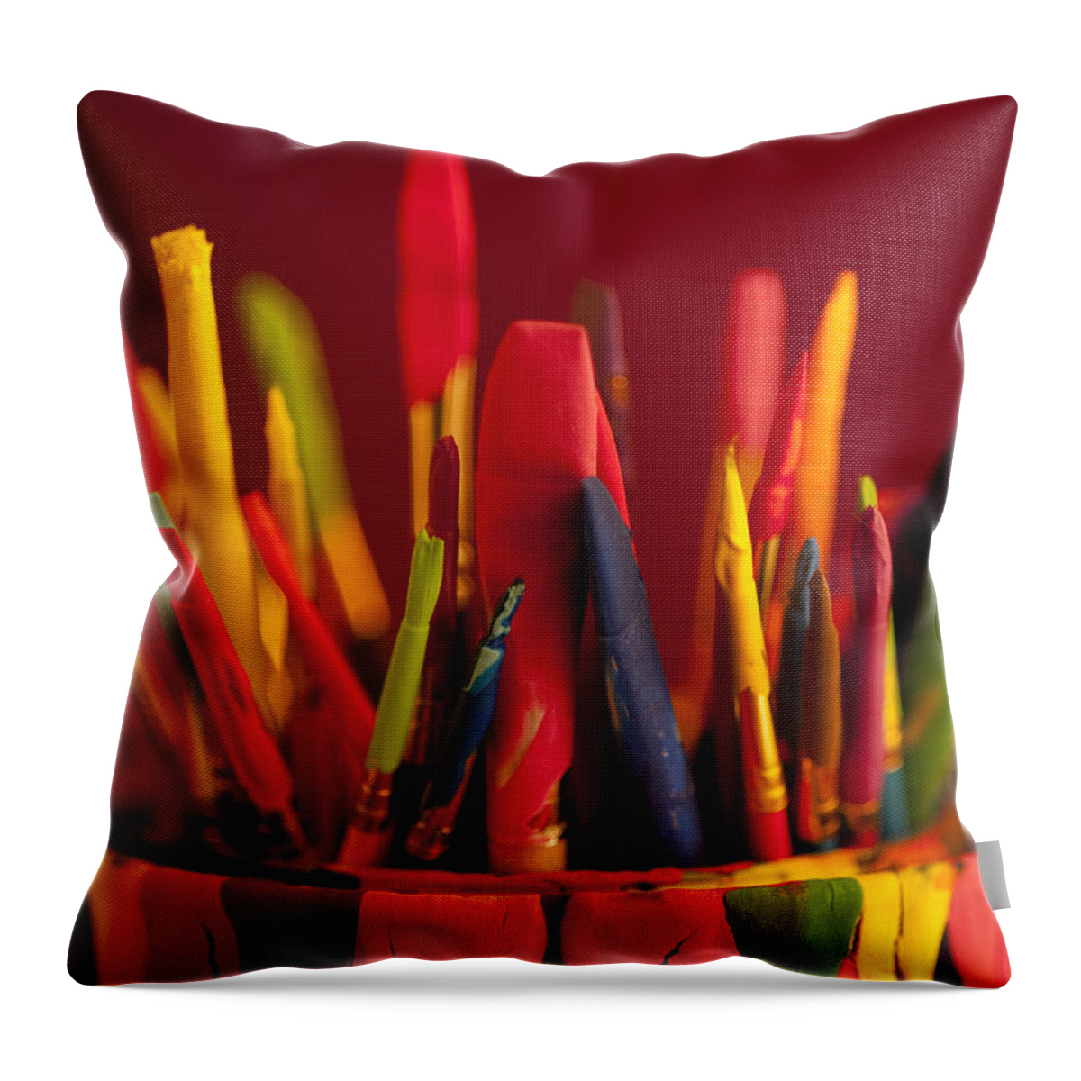 Art Throw Pillow featuring the photograph Multi colored paint brushes #6 by Jim Corwin