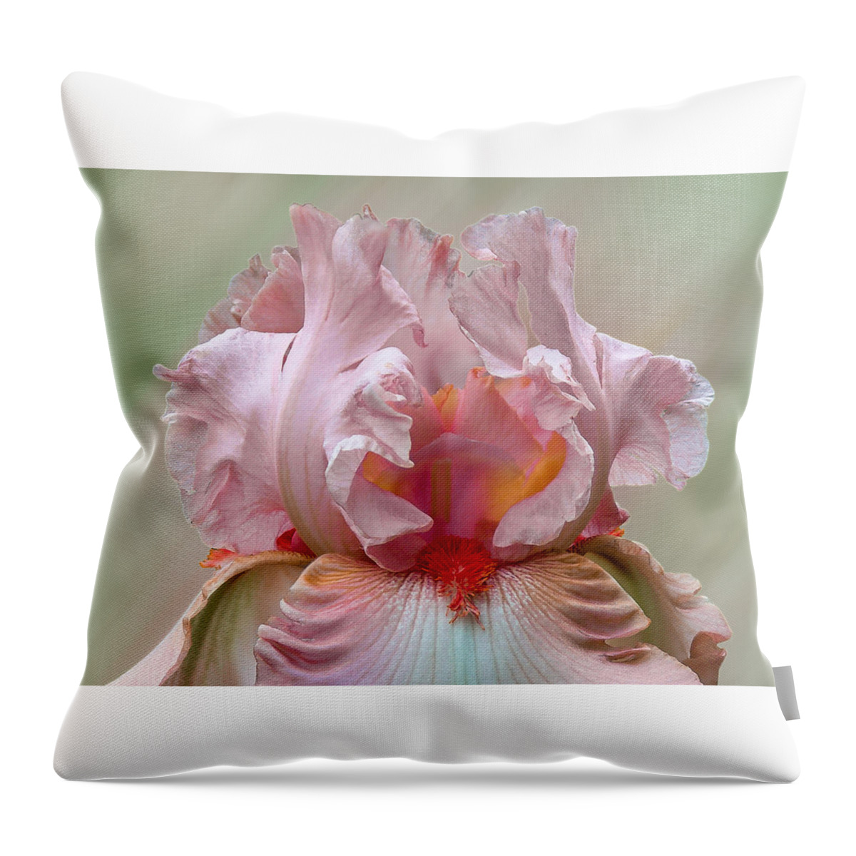 Pink Throw Pillow featuring the photograph Pink Electrabrite Bearded Iris by Patti Deters
