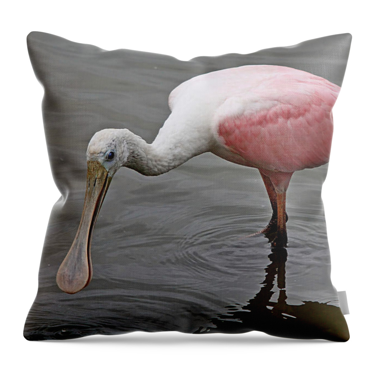 Wetlands Throw Pillow featuring the photograph Roseate Spoonbill #6 by Ira Runyan