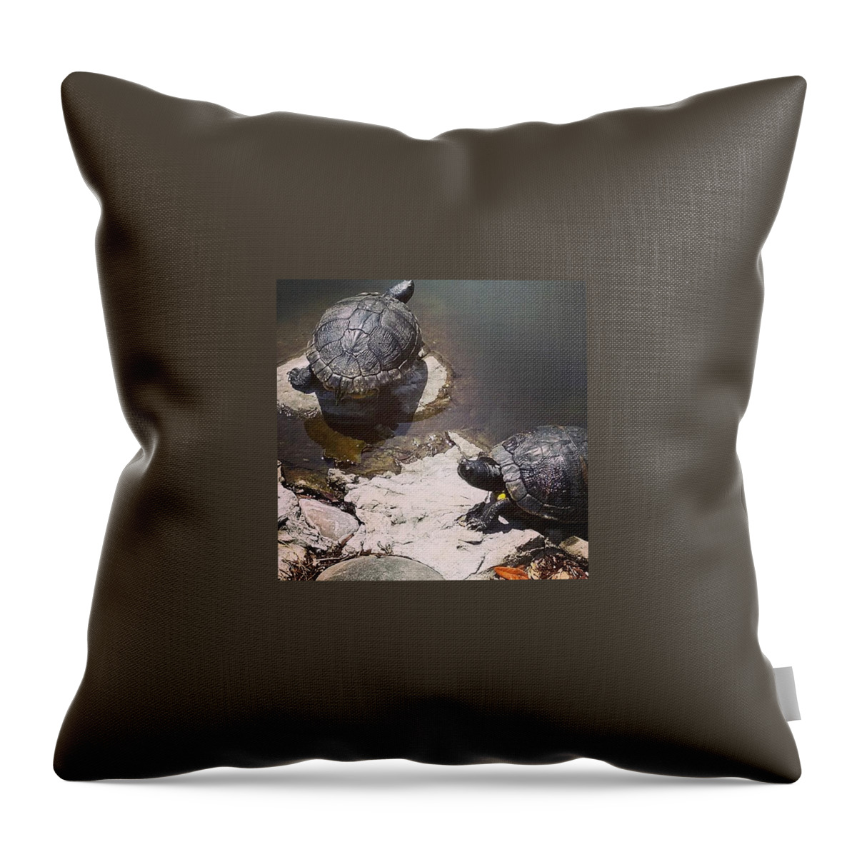 Turtle Throw Pillow featuring the photograph Turtles by Courtney Trivette