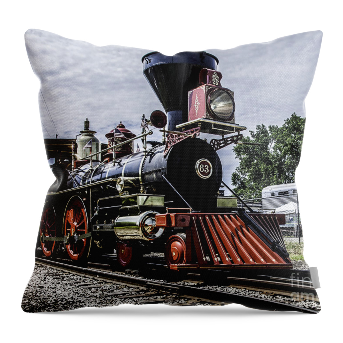 63 Throw Pillow featuring the photograph 63 by Ronald Grogan