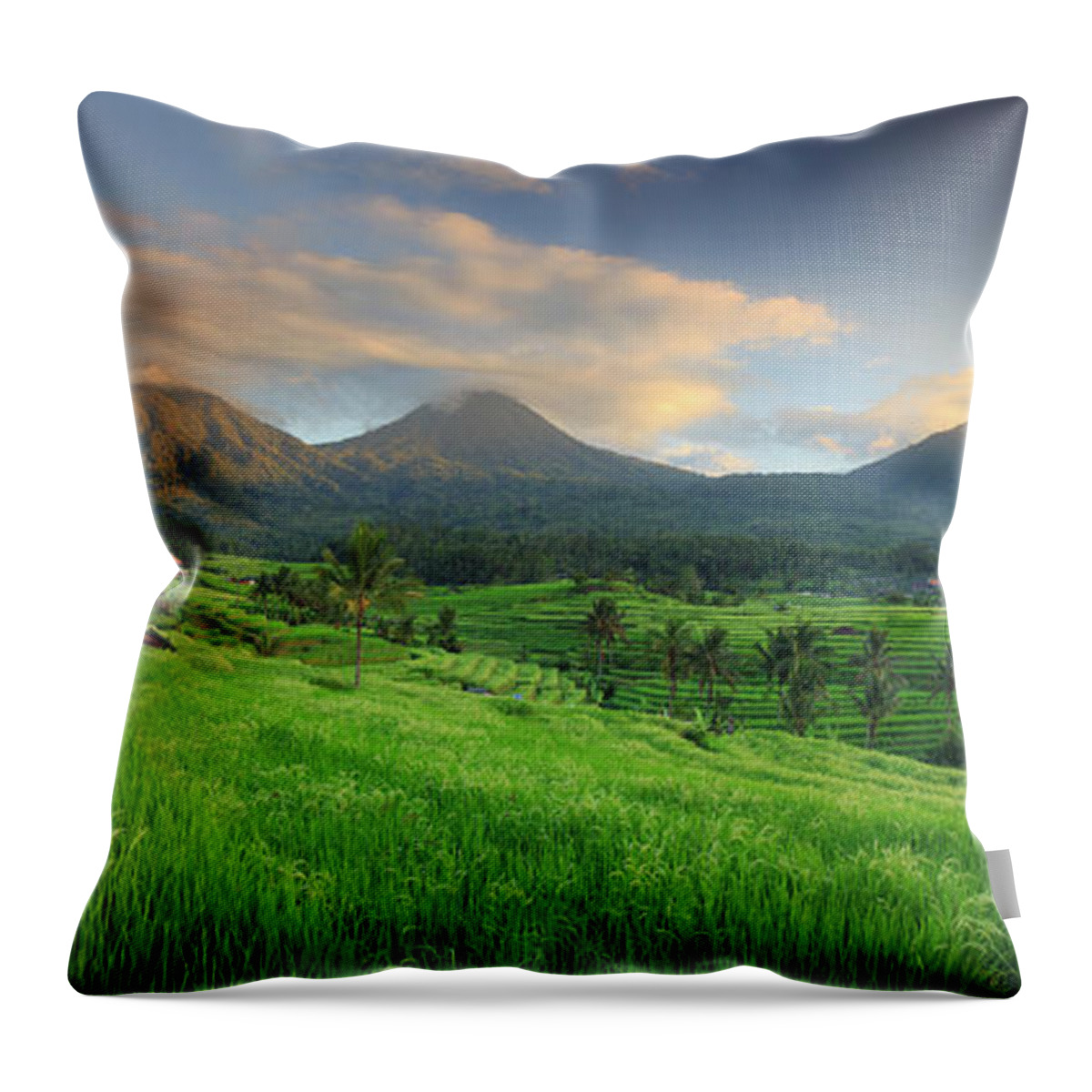 Scenics Throw Pillow featuring the photograph Indonesia, Bali, Rice Fields And #7 by Michele Falzone