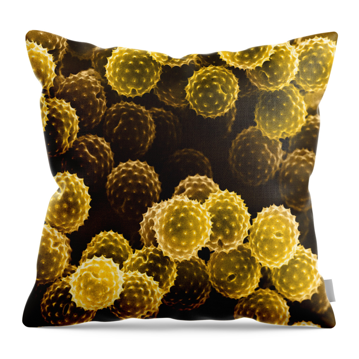 Allergen Throw Pillow featuring the photograph Ragweed Pollen Sem #7 by David M. Phillips / The Population Council