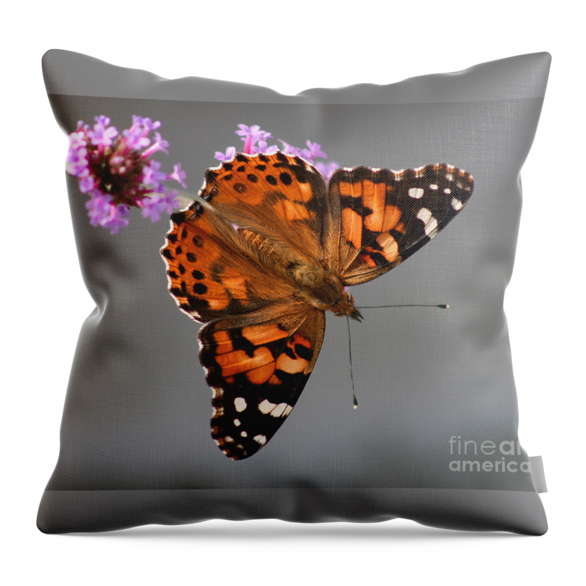 Painted Lady Butterfly Throw Pillow featuring the photograph American Painted Lady Butterfly #1 by Karen Adams