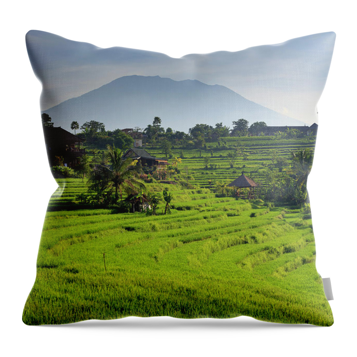 Scenics Throw Pillow featuring the photograph Indonesia, Bali, Rice Fields And #8 by Michele Falzone