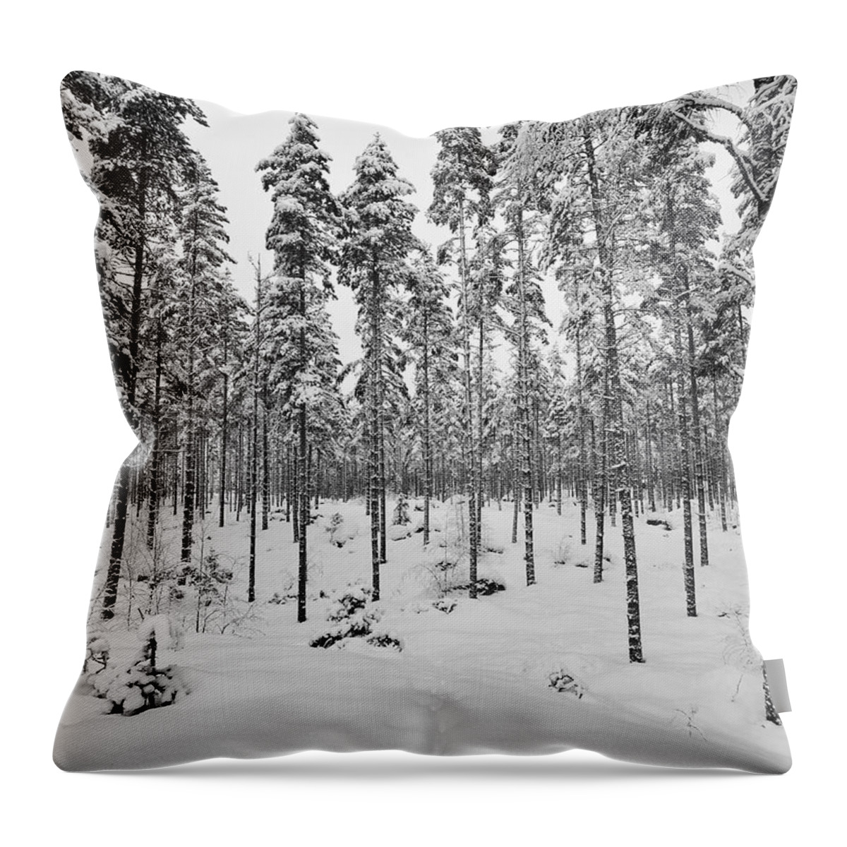 Finland Throw Pillow featuring the photograph Pine forest winter #7 by Jouko Lehto