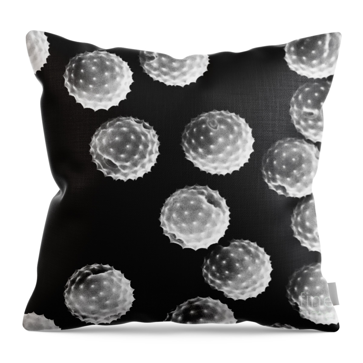 Science Throw Pillow featuring the photograph Ragweed Pollen Sem #8 by David M. Phillips / The Population Council