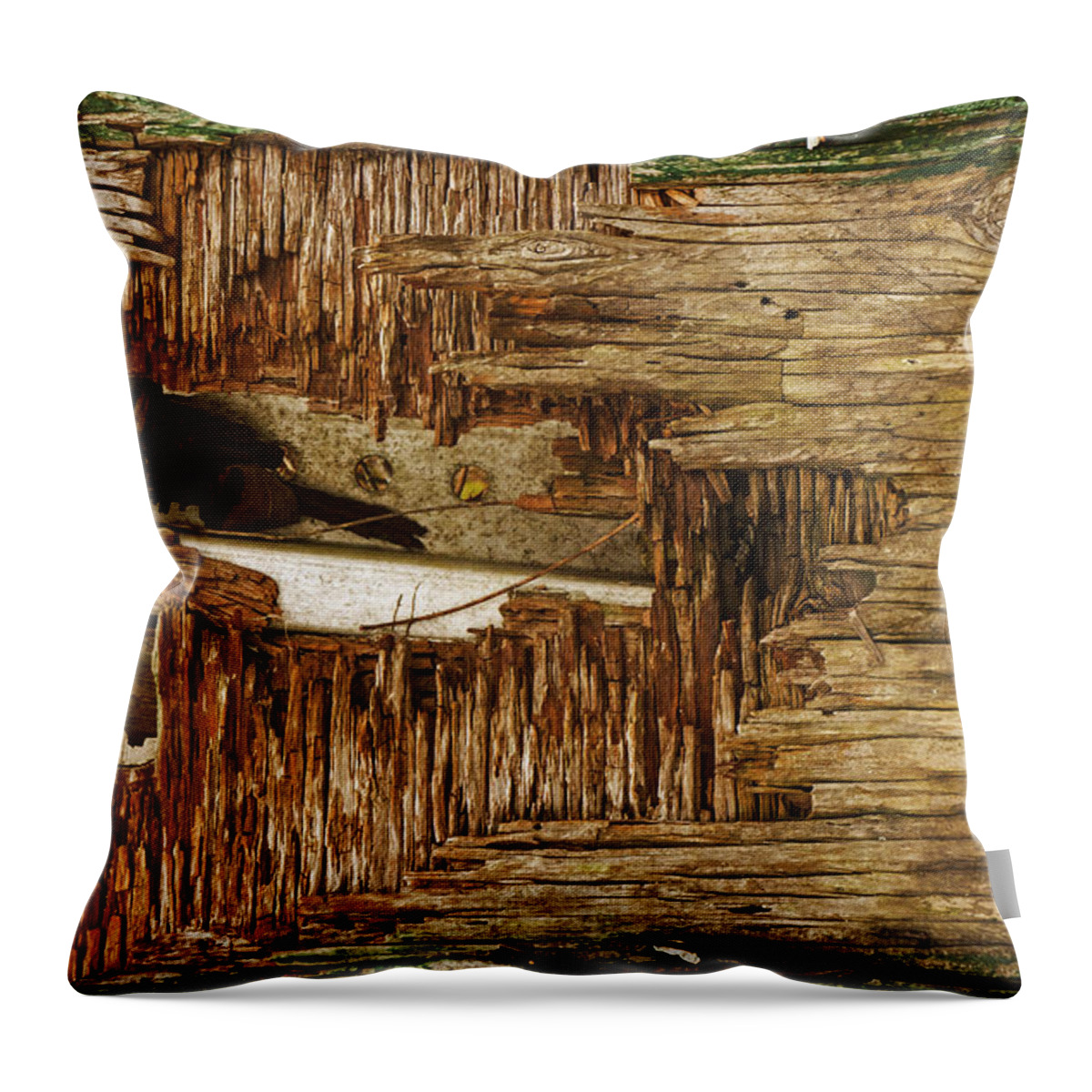 Abstract Throw Pillow featuring the photograph Untitled #8 by Frank Winters