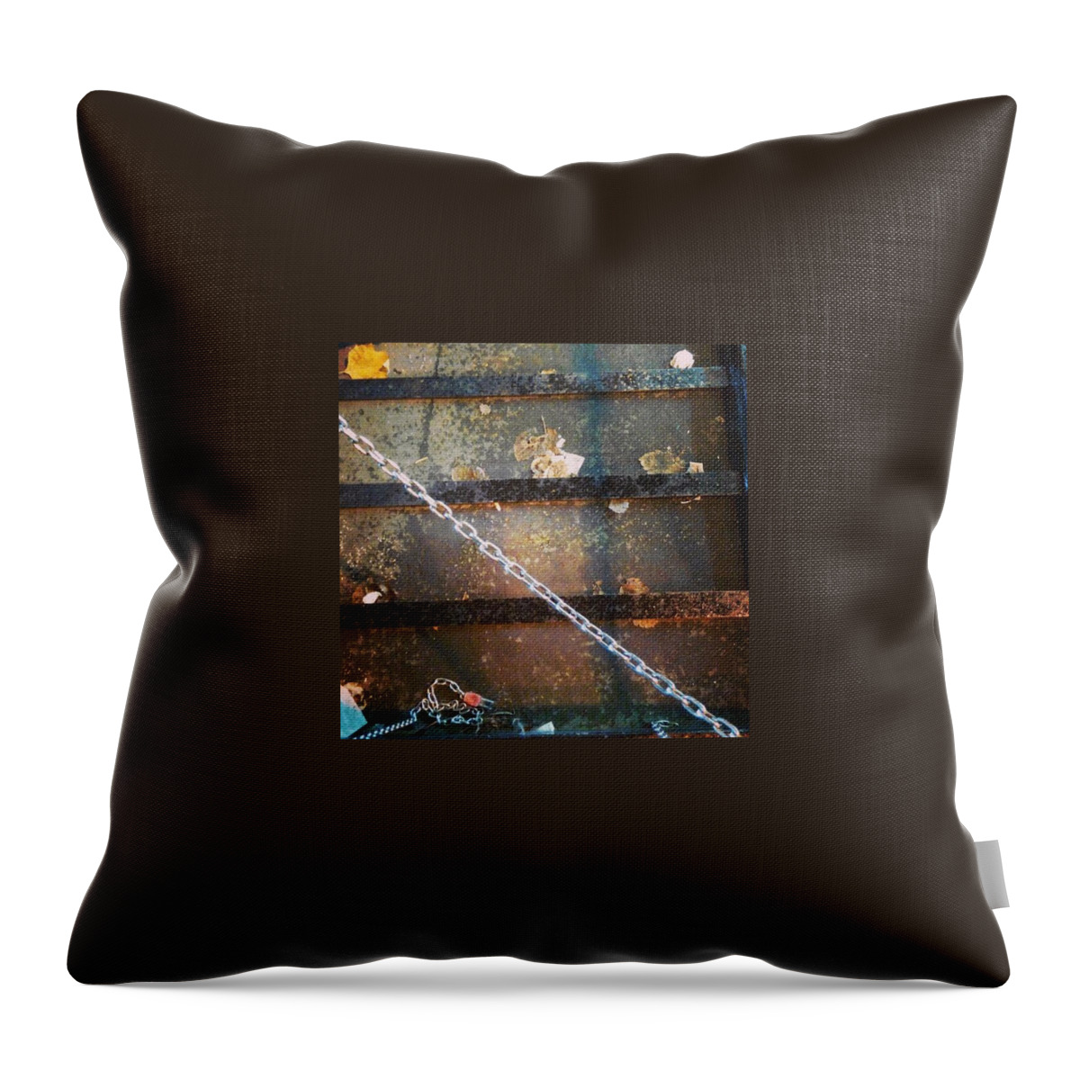  Throw Pillow featuring the photograph Instagram Photo #801383605271 by Abbie Shores