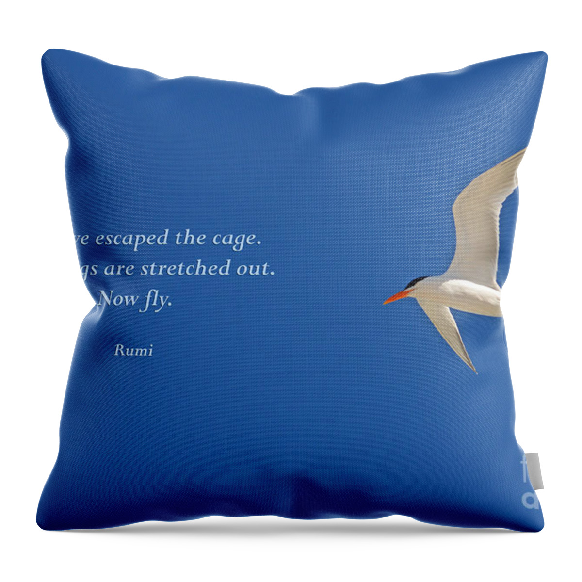 Rumi Throw Pillow featuring the photograph 84- Rumi by Joseph Keane