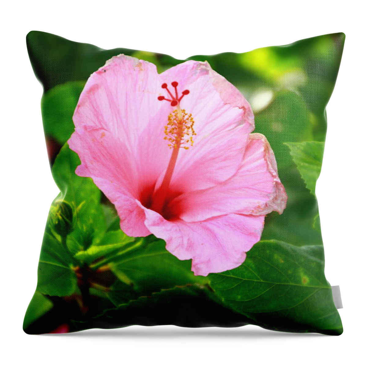  Throw Pillow featuring the photograph Flowers #9 by Max Greene
