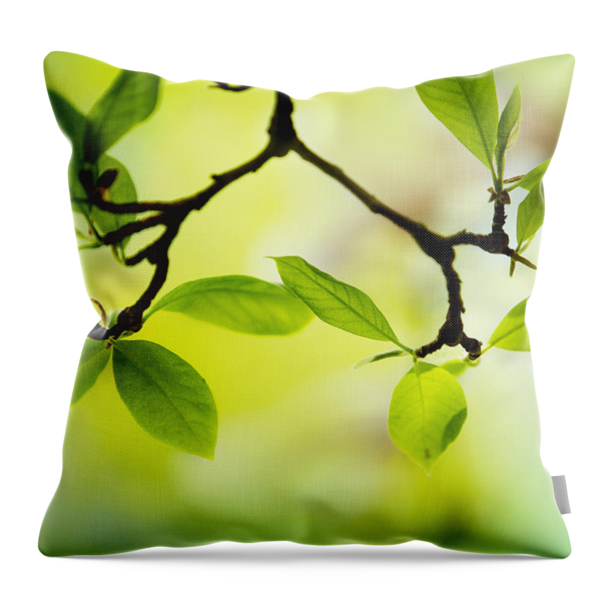 Tree Throw Pillow featuring the photograph Spring Green #9 by Nailia Schwarz
