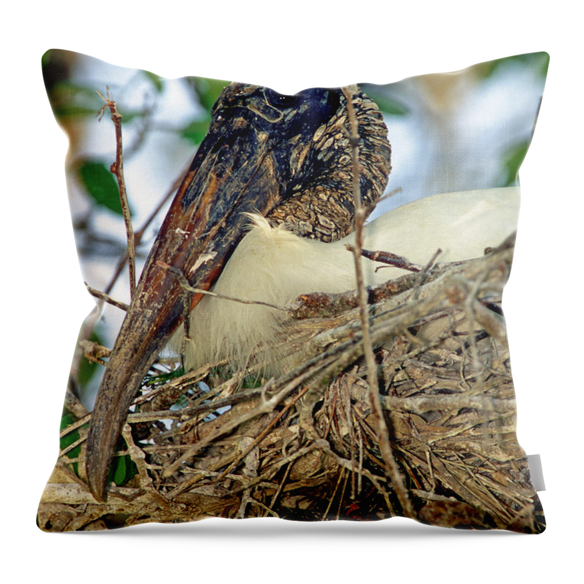 Wood Stork Throw Pillow featuring the photograph Wood Stork #9 by Millard H. Sharp