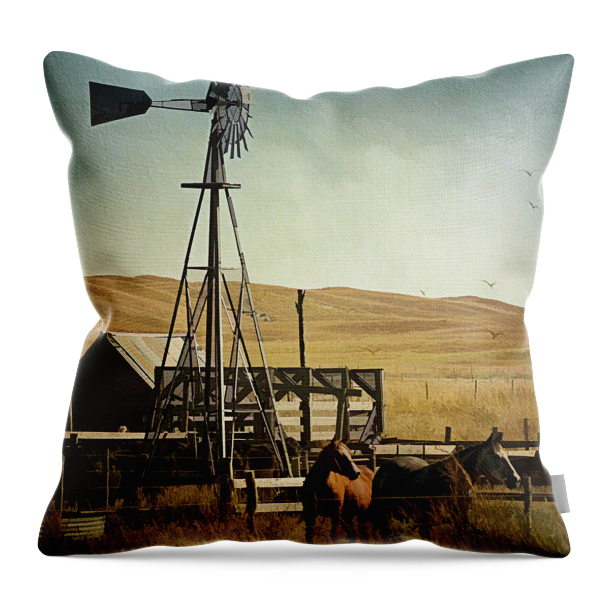 Farm Throw Pillow featuring the photograph A Beautiful Nebraska Sandhills Farm by Priscilla Burgers