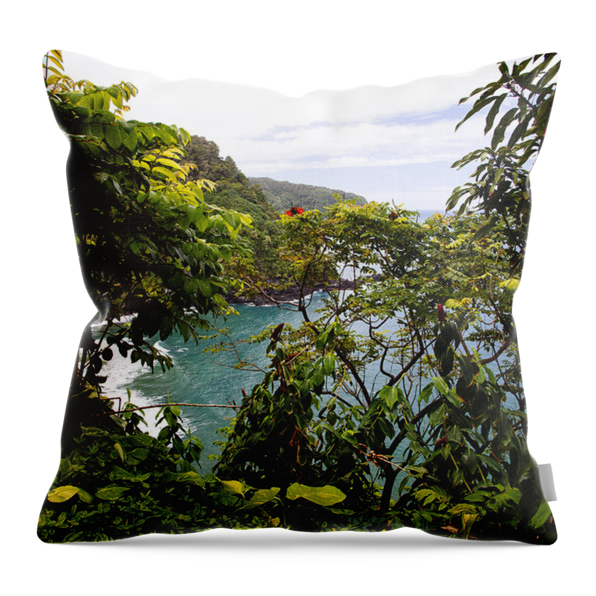 Maui Throw Pillow featuring the photograph A Beautiful View by Laura Tucker