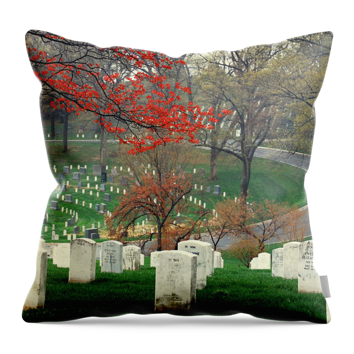 Tomb Throw Pillow featuring the photograph A Bend in the Road by Jame Hayes