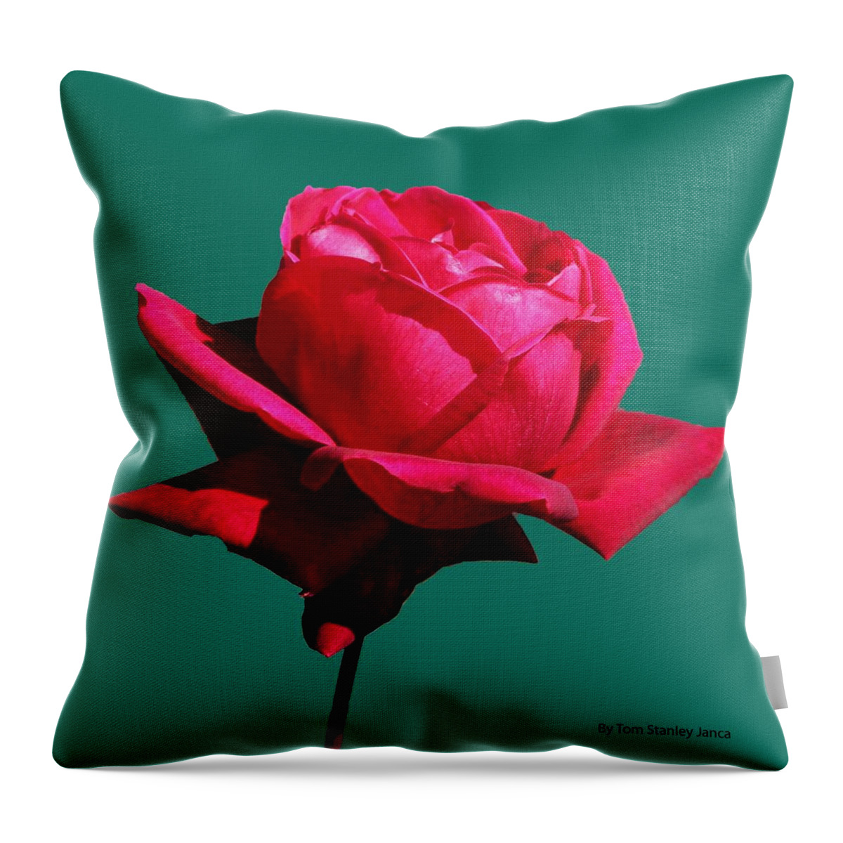 Big Red Rose Throw Pillow featuring the photograph A Big Red Rose by Tom Janca
